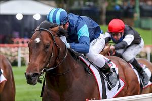 Portland Sky, Red Anchor Stks, MV, 24 Oct 2020